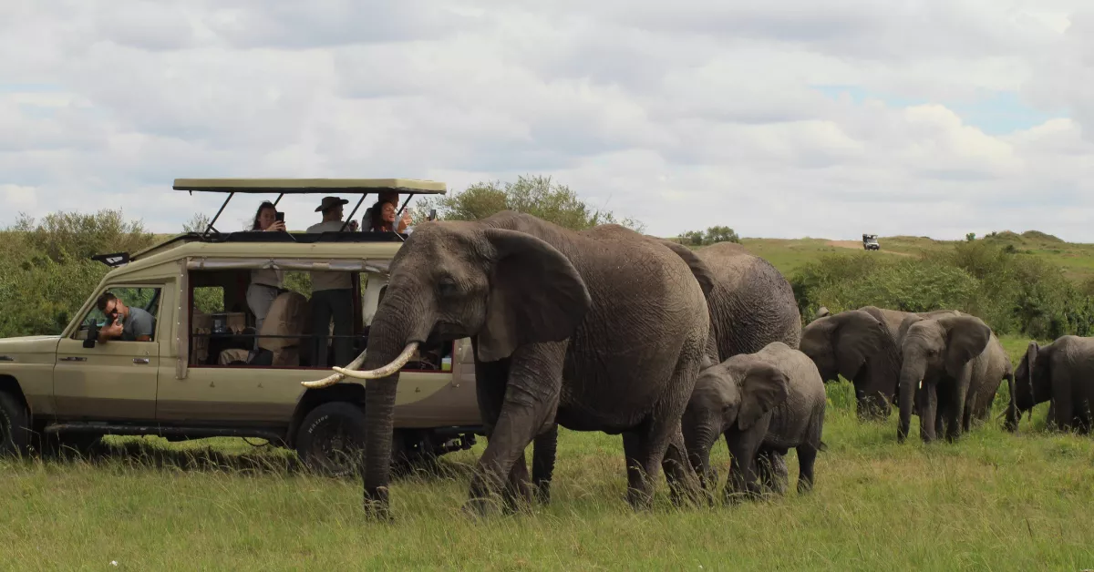 Georgia Safari Conservation Park Tickets Price